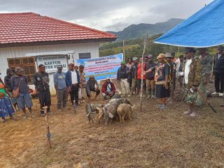 WhatsApp Image 2025 07 06 at 23.56.44