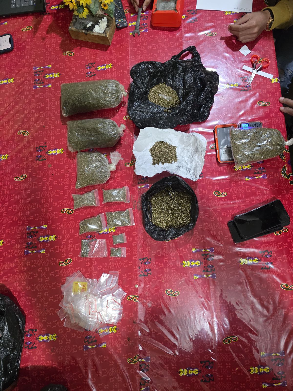 Penggerebekan di Belakang Gereja GKI Baliem Yalimo Ungkap Ladang Ganja Tersembunyi 7 WhatsApp Image 2025 09 27 at 14.22.44